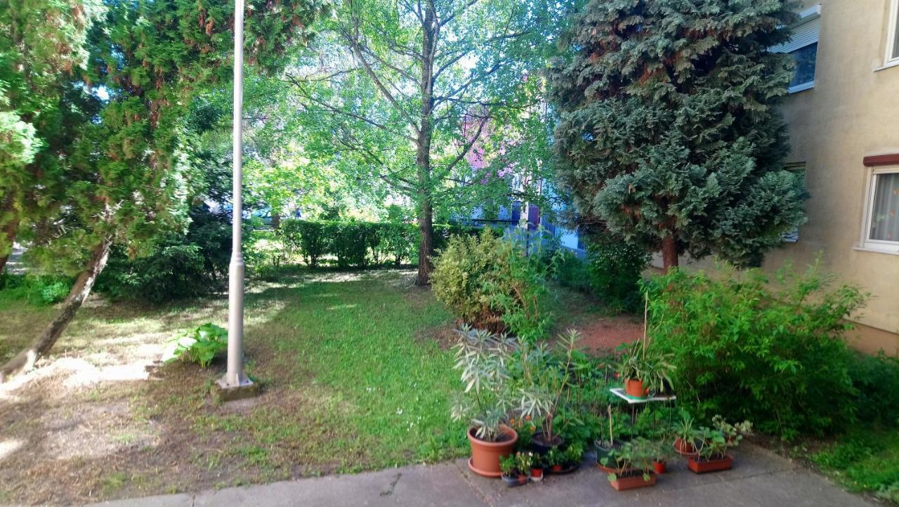 Apartment Sziget