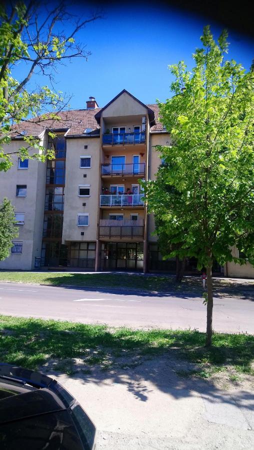 Sziget Apartment